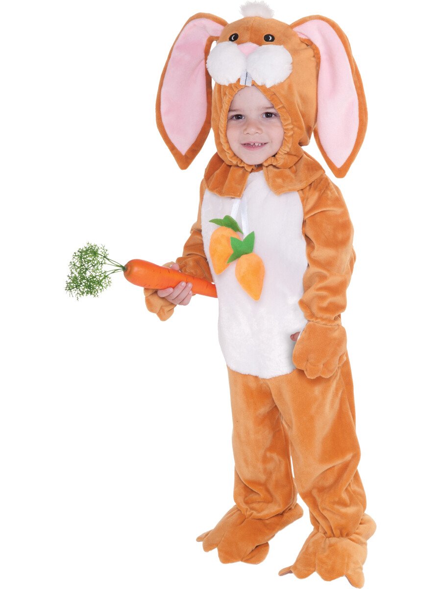 Little Brown Bunny Child's Baby Costume Toddler 2-4