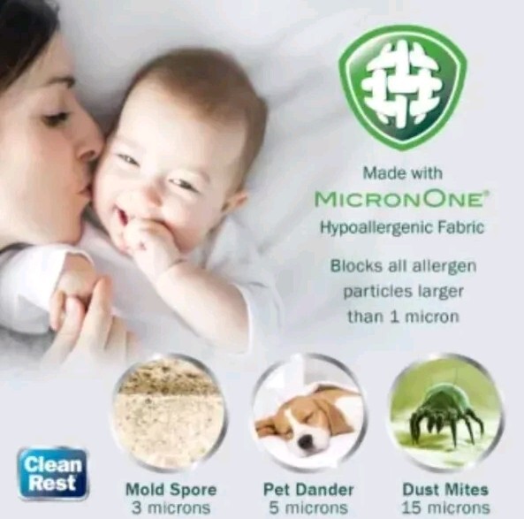 Cleanrest Pro Sofa Bed Mattress Encasement, Queen 60"x72"x4 To 7" Zip N Click