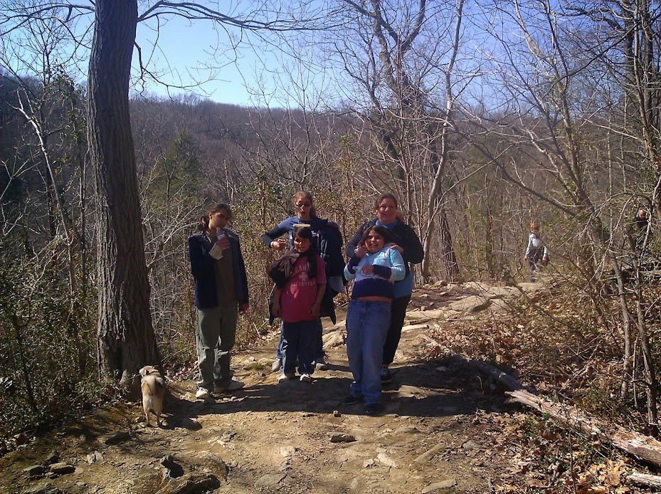 Tropical Paradise 2 Contemporary Expressionist Original Painting 11x14 Shibumi