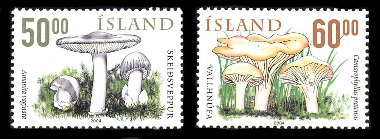 Iceland: 2004 Mushrooms (1021-1022) MNH