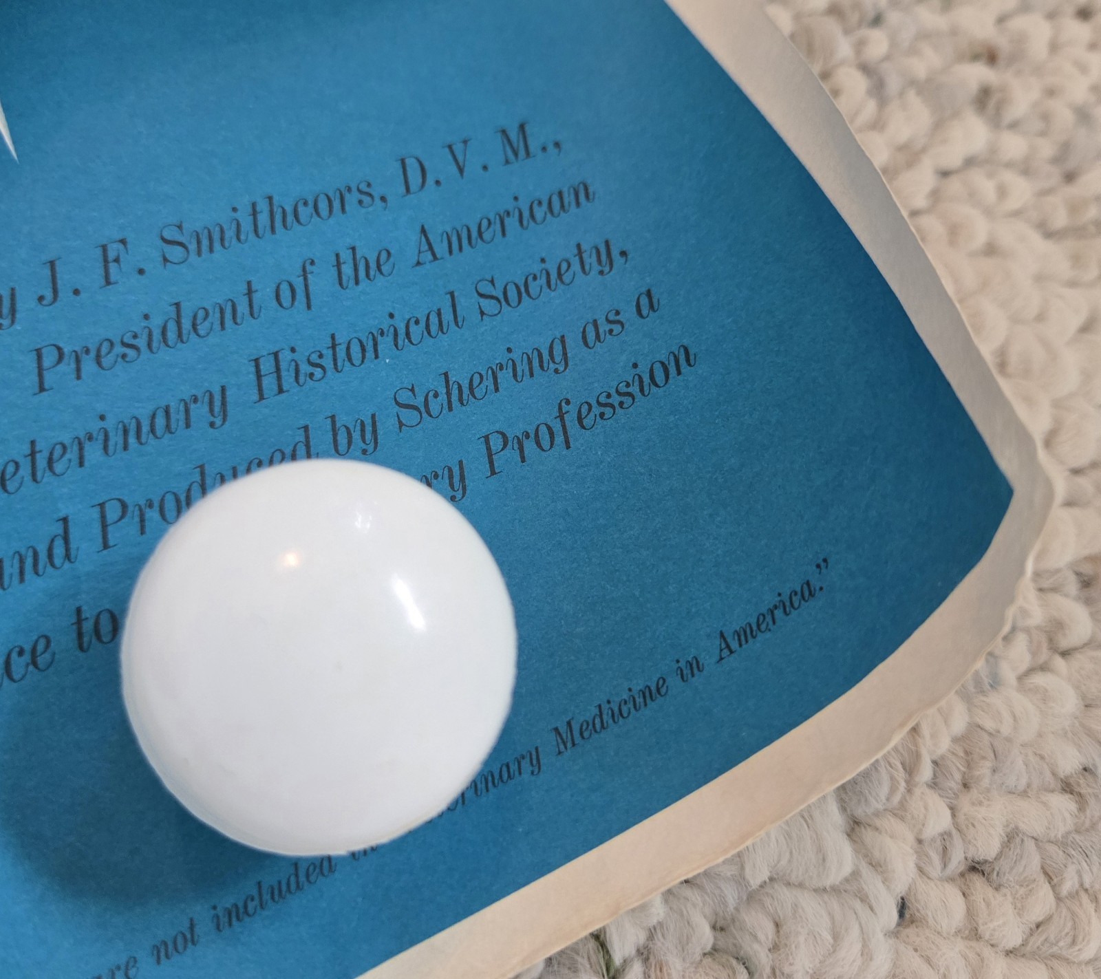 1960 Veterinary Medicine In America Poster History Map Unframed Vtg Vet Wall Art