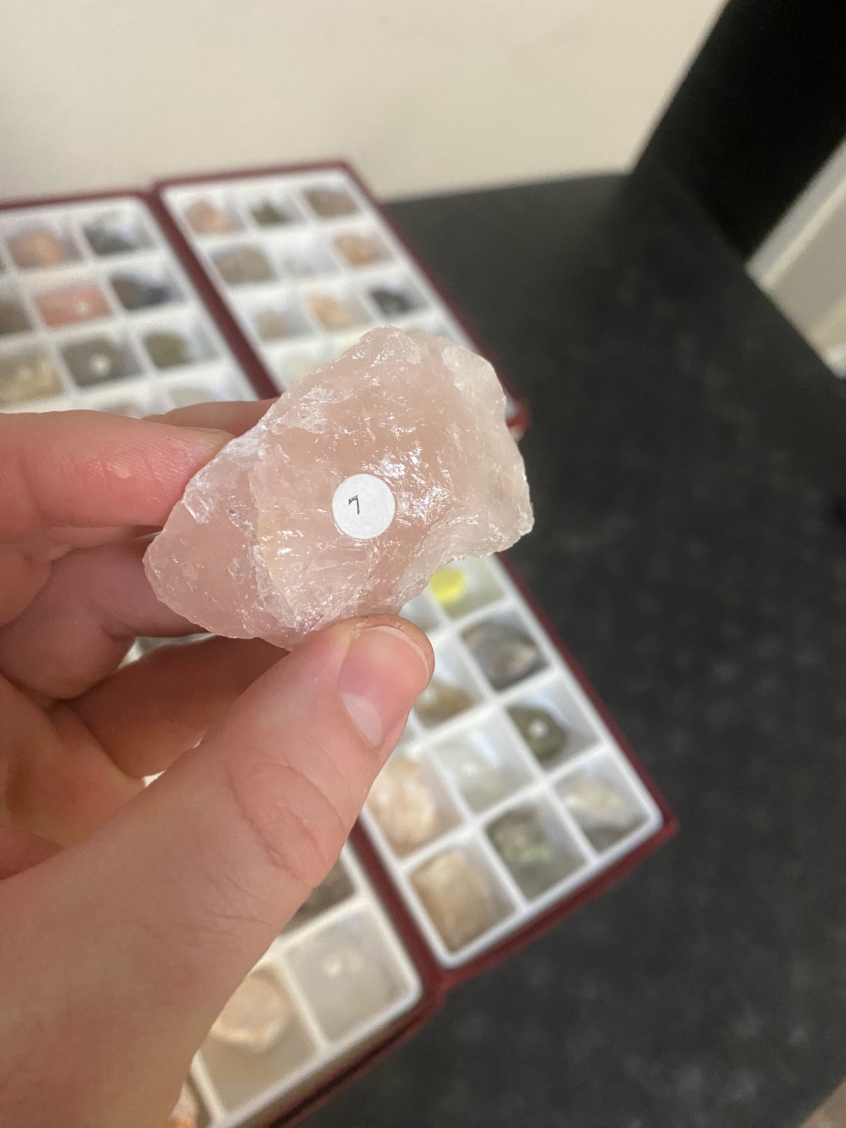 Scott Resources Fossil Rock Mineral Collection for Classroom Geology Educational