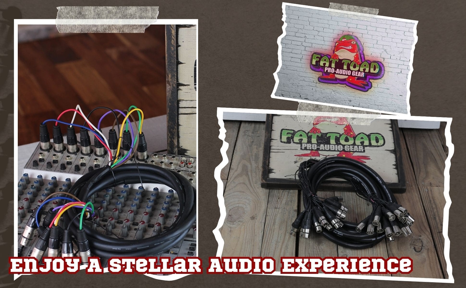 XLR Snake Cable Patch - 8 Channel 20ft Pro Audio Mic Cord Mixer Sound Stage PA