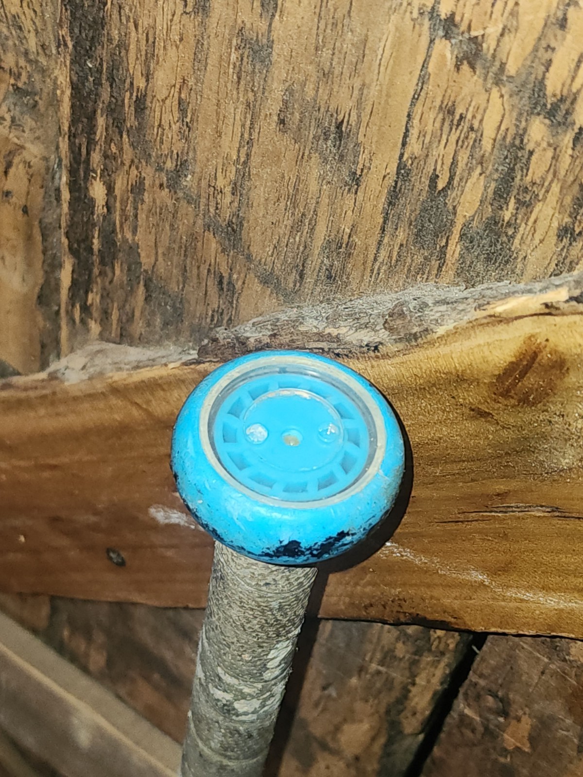 Marucci Fastpitch MFPC710 CATFX Softball Bat -10 31/21 2 1/4" ASA USSSA ISA