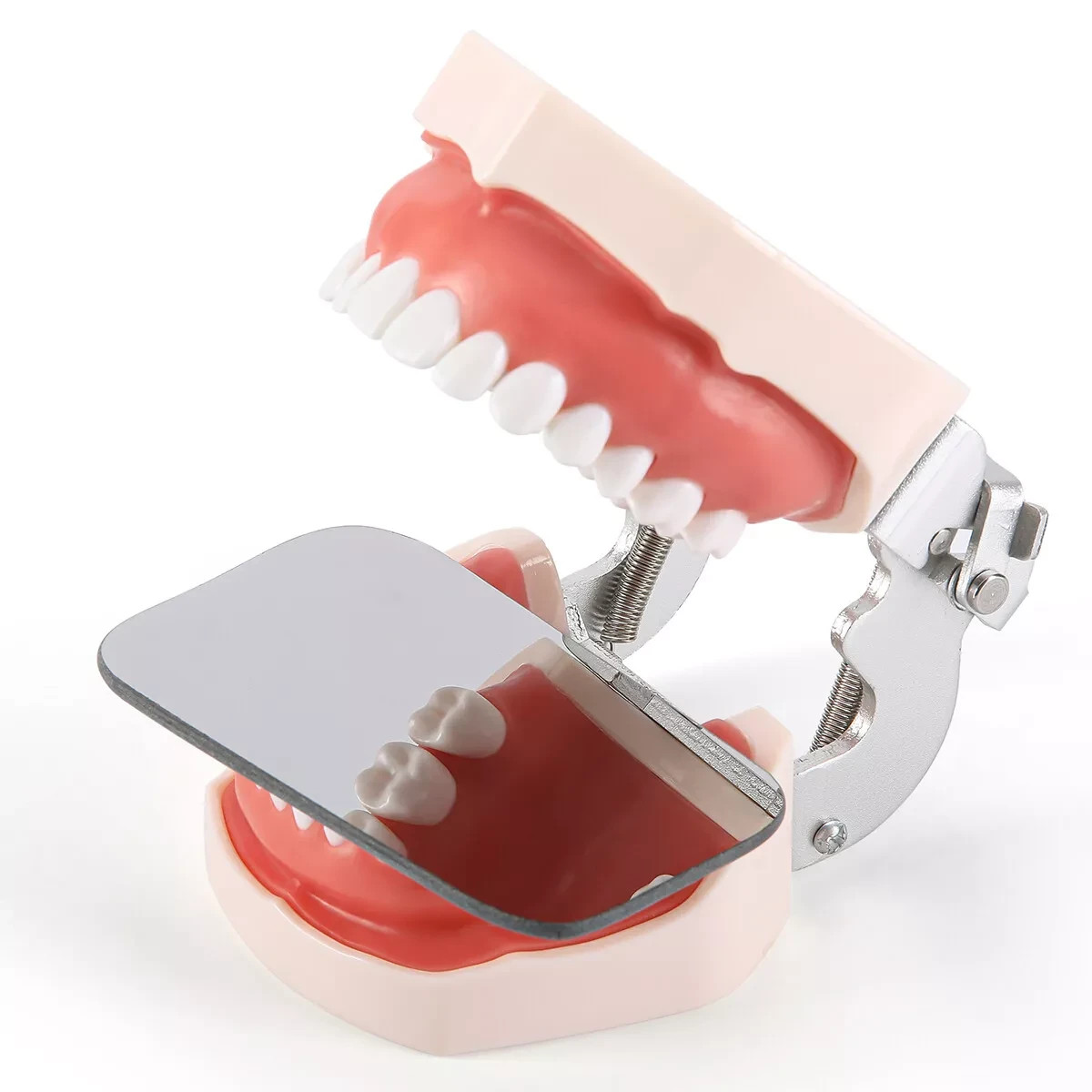 5/ Dental Orthodontic Mirror Photography Double-Sided Mirrors Glass Reflectors