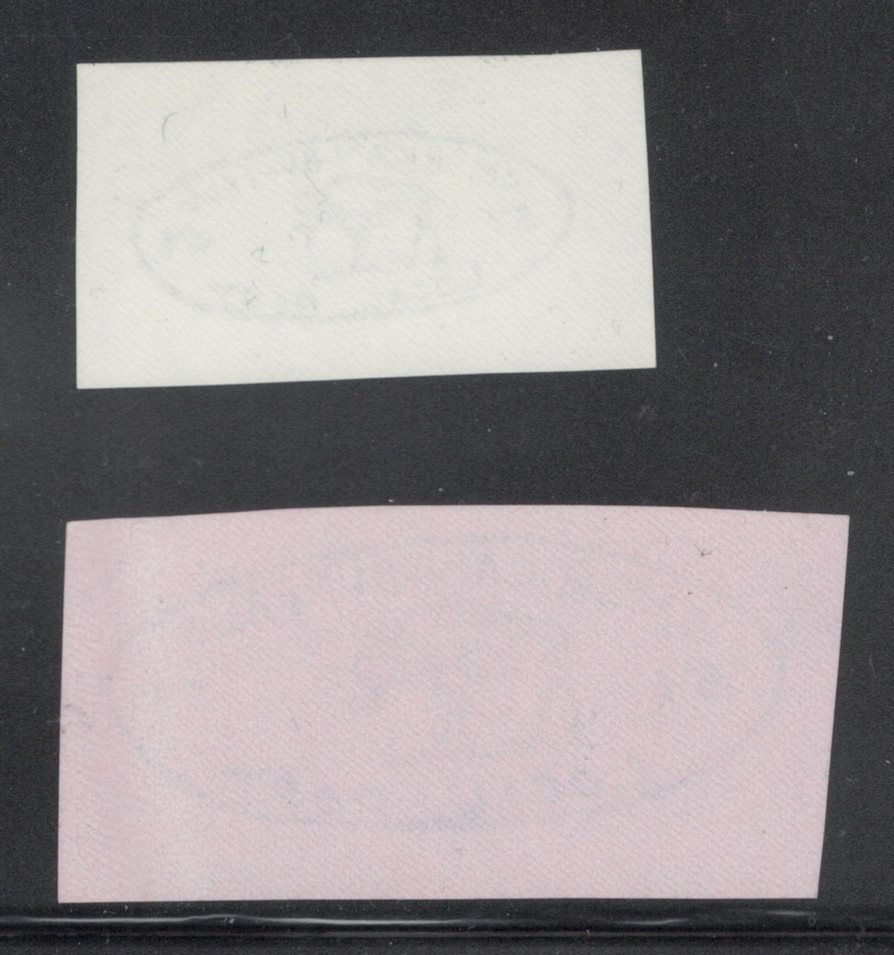 US private local post printings 5c Buffalo