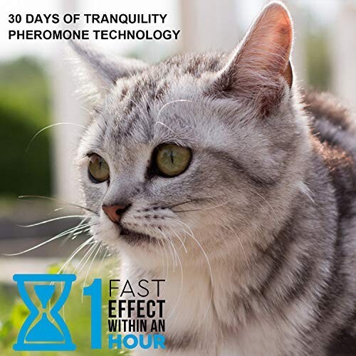 30-Day Calming Collar for Cats Natural Pheromone Lavender Lemongrass Kitty Gray