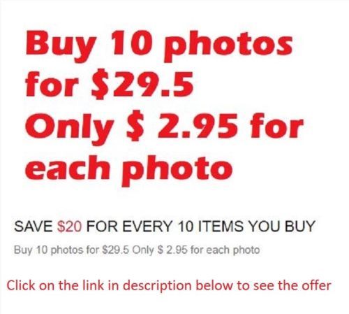 WW1 World War one Great War Photo Picture German Pilot and Fighter plane 3961