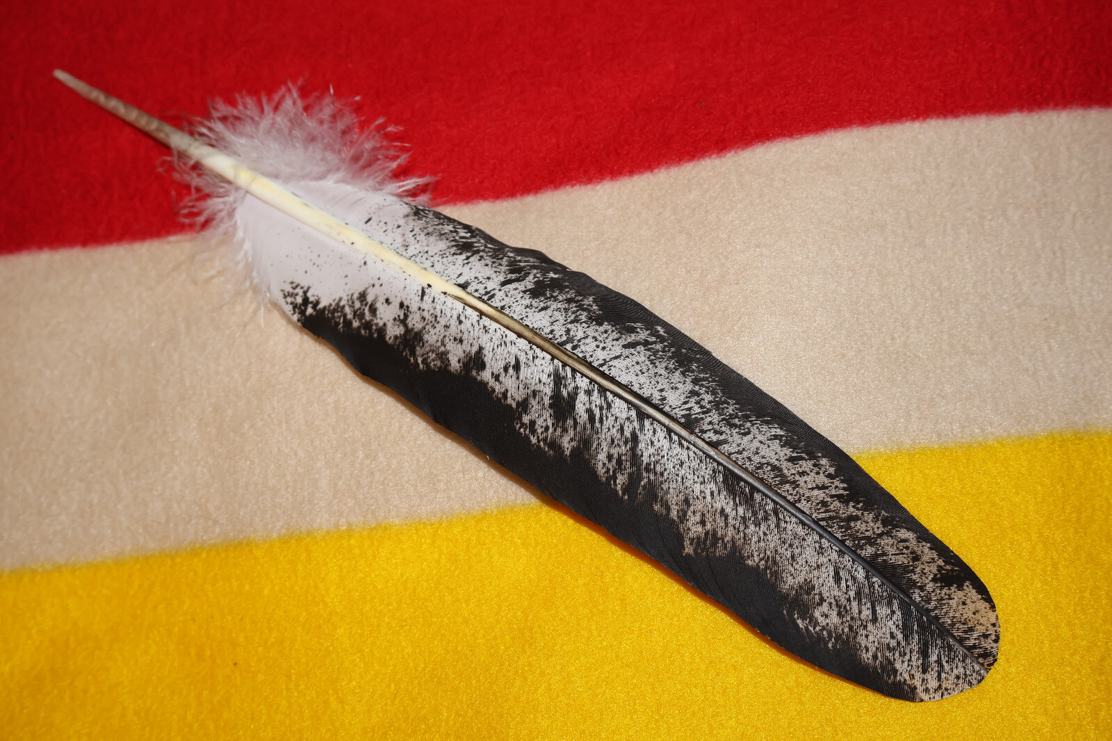 Native American-made Immature Bald Eagle Feathers Immature hand painted