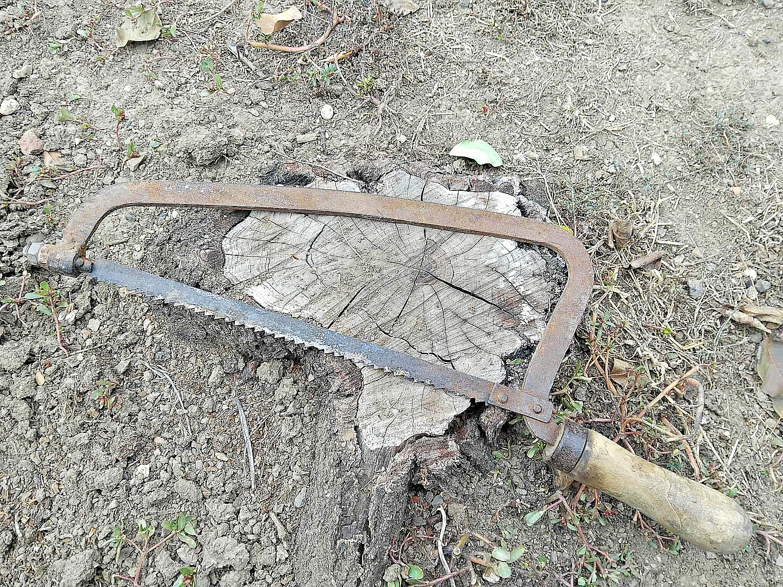 ANTIQUE BONE SAW WW1 SURGICAL AMPUTATION TOOL  COLLECTIBLE HOME DECORATION
