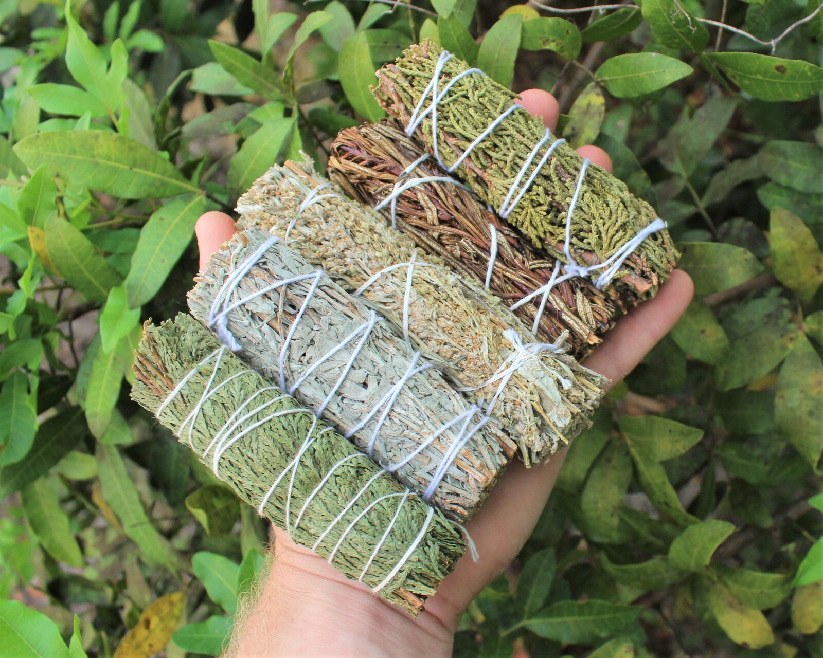 5 Smudge Stick SAMPLER: Black Sage Blue Sage Cedar Sage Juniper Sage Yerba Santa
