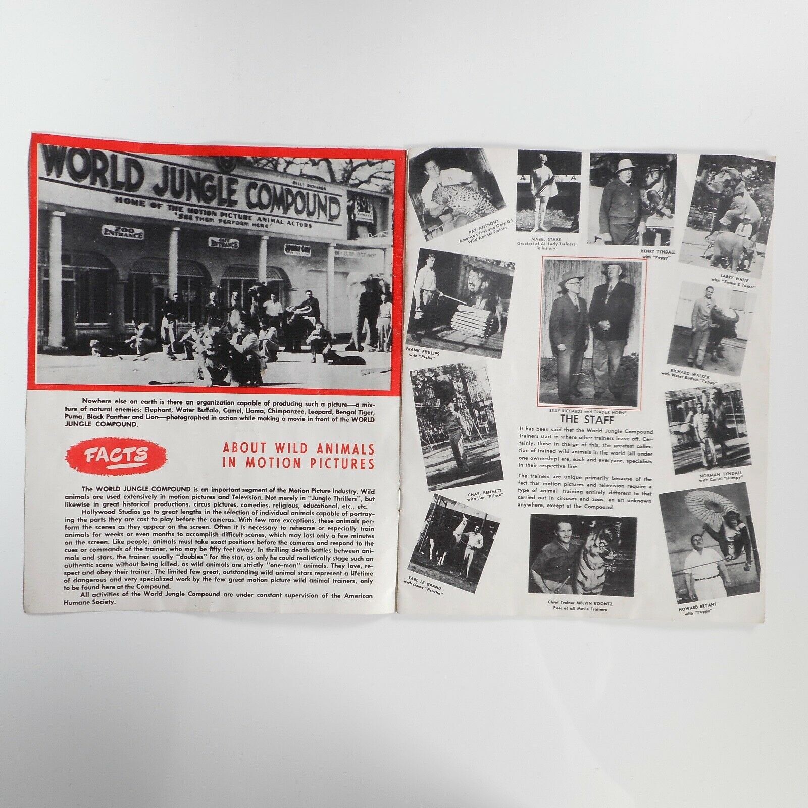 VTG 1953 Jungle Land World Compound Program Mabel Stark CA MGM Circus Lions RARE