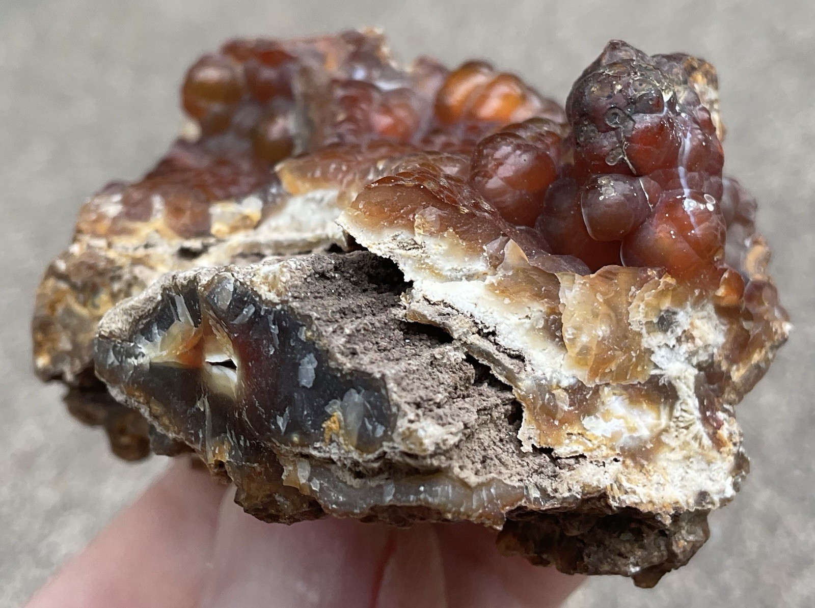 103g Botryoidal Agatized Coral Fossil Chalcedony Stalactite Florida