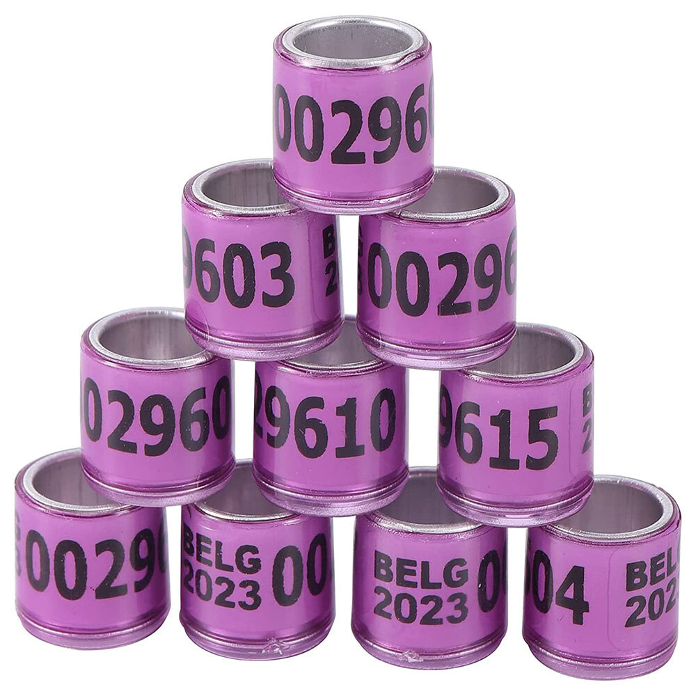 For 2023 Racing Multicolor Pigeon Rings Leg Bands ARPU Bird Foot Ring 8mm 100Pcs