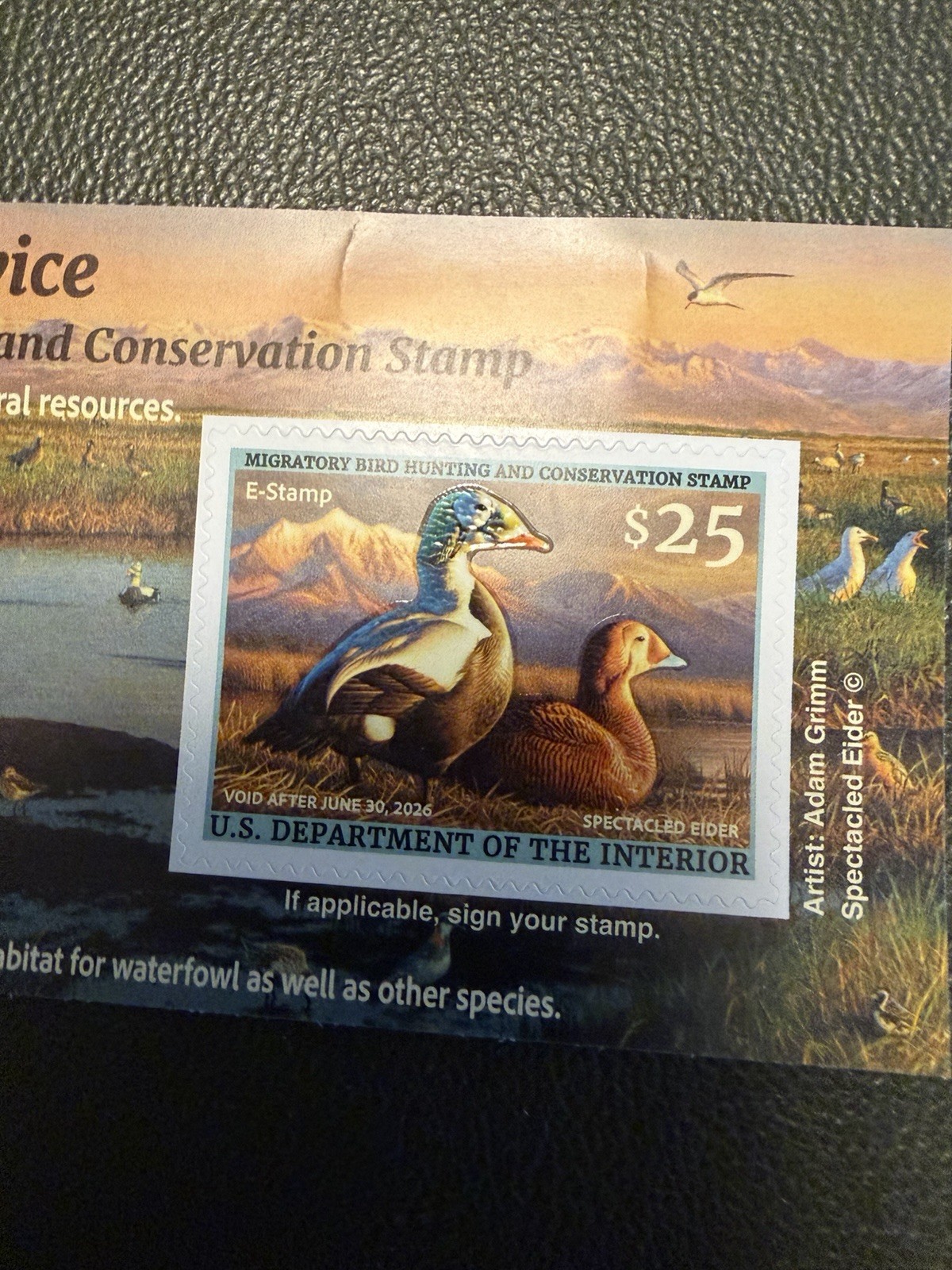 NEW Federal Duck Stamp 2025-2026 Spectacled Eider