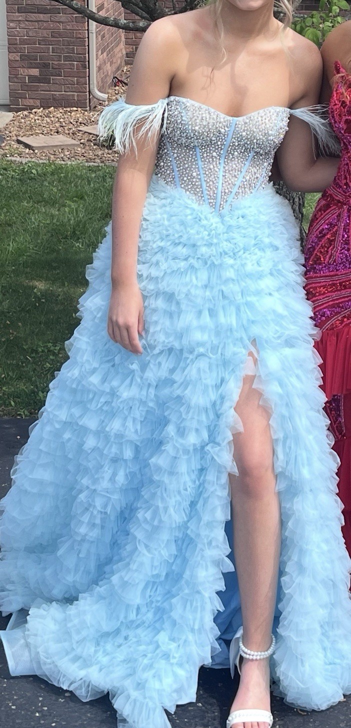 Sherry Hill Gown 55387 Tulle, Feathers Size 00