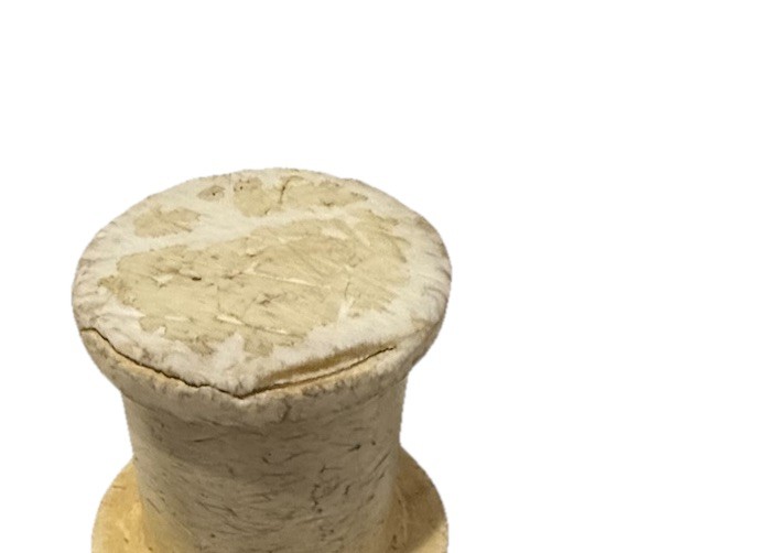 Robot Coupe R2 Food Processor Cutter Mixer S Slicer *TESTED WORKING*