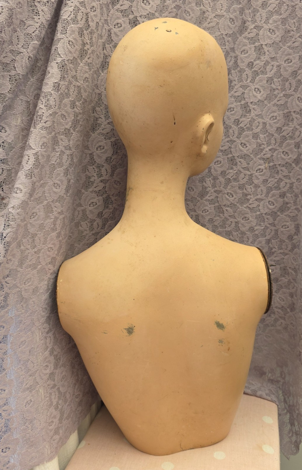 Vintage 'Vera' 1950's - 1960's Fibreglass Bust Manniquin