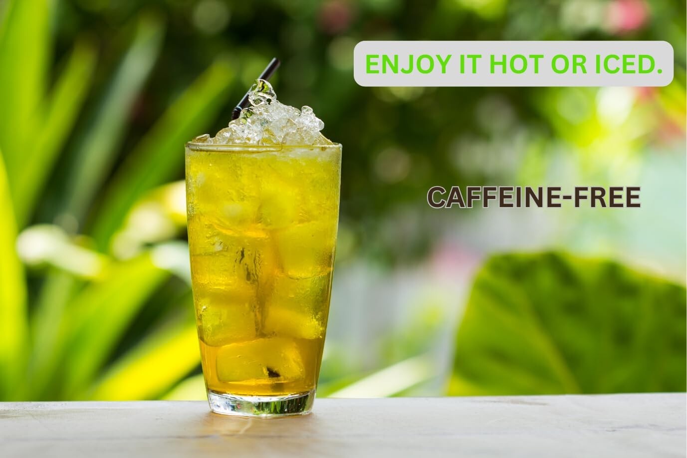 Organic Mullein Leaf Tea Bags - 100 Count (Plant-Based Pyramid Tea Bags)