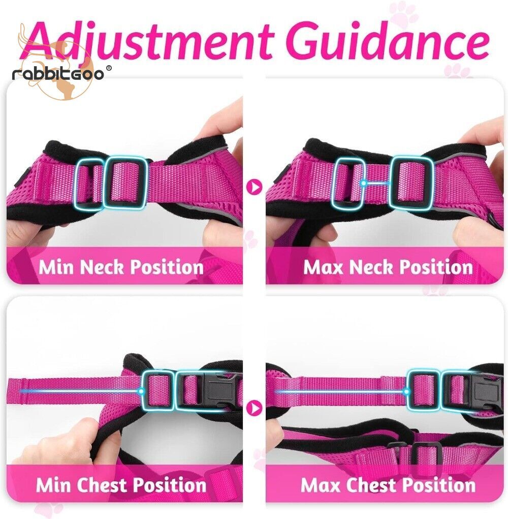 rabbitgoo Cat Harness & Leash Escape Proof Adjustable Vest Reflective Breathable
