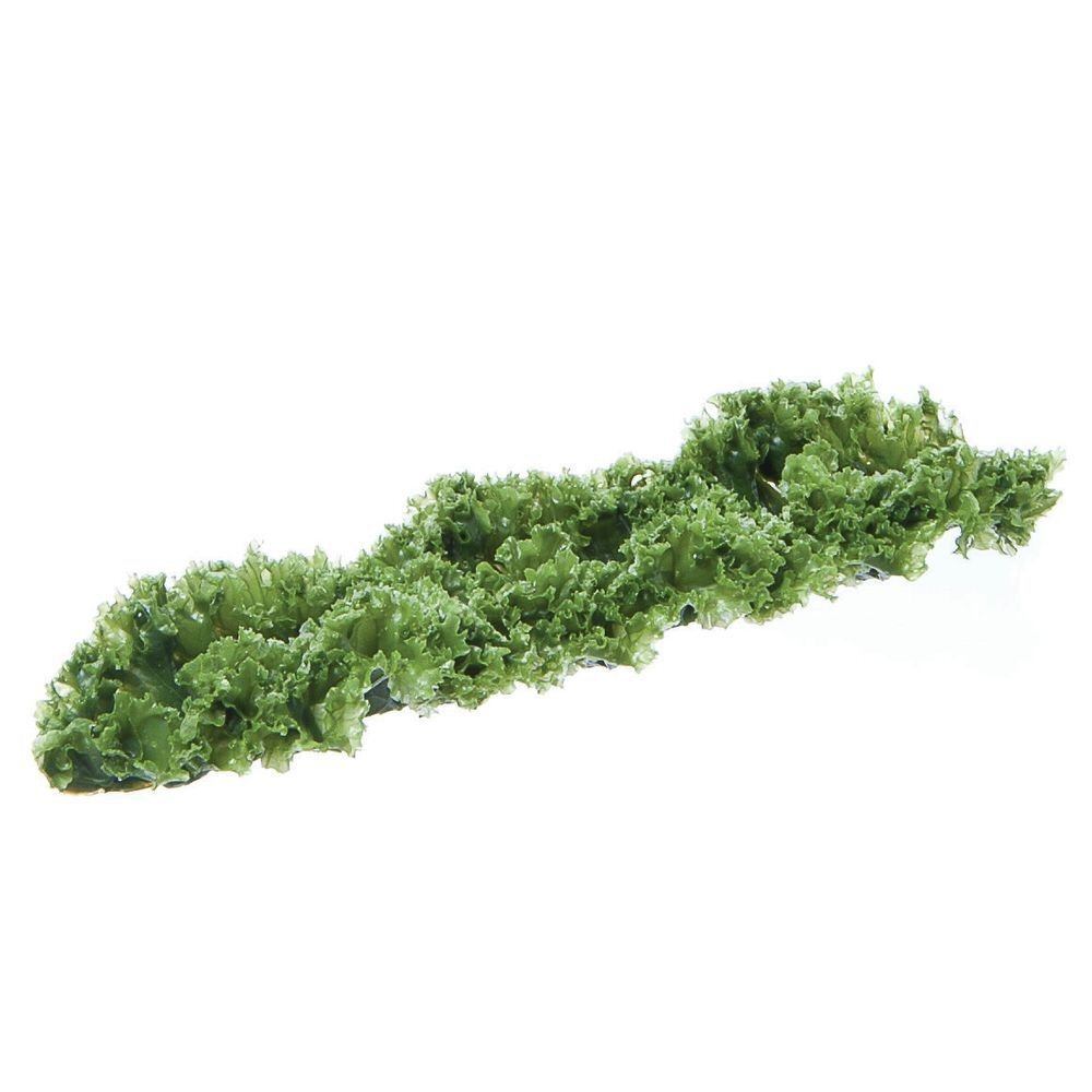 CCI IND INCREDIBLE INEDIBLES Artificial Kale Runner Garnishing Green - 12" L x