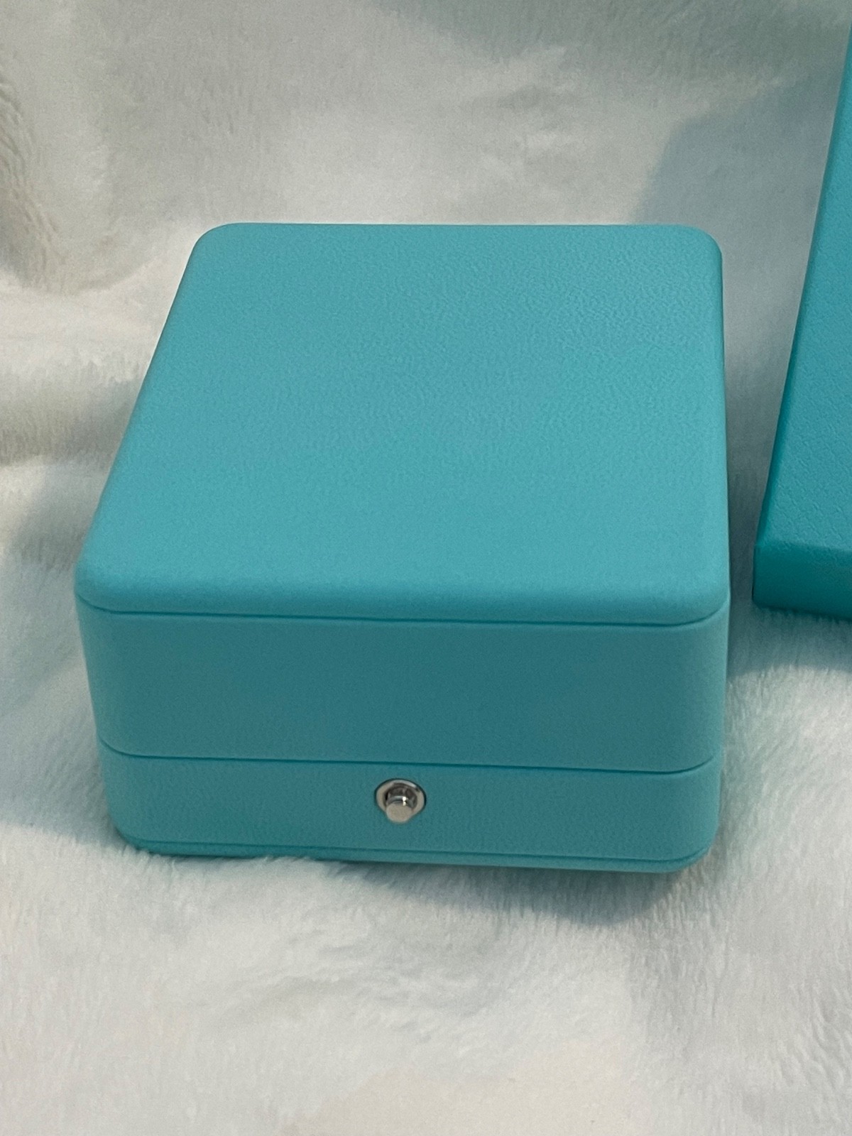 NEW Tiffany & Co Blue Earrings Case and Outer Box