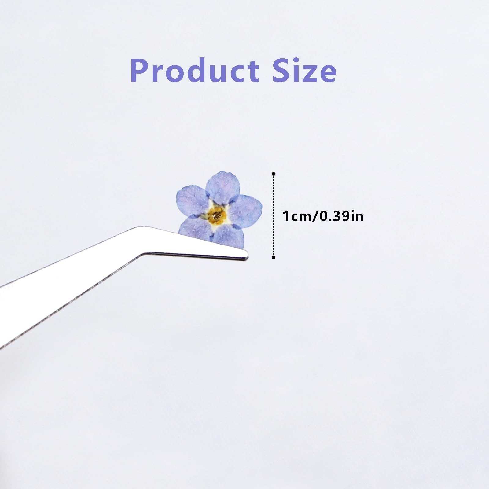 60Pcs Natural Forget Me Not Dried Flowers Real Dried Pressed Flowers Blue Don...