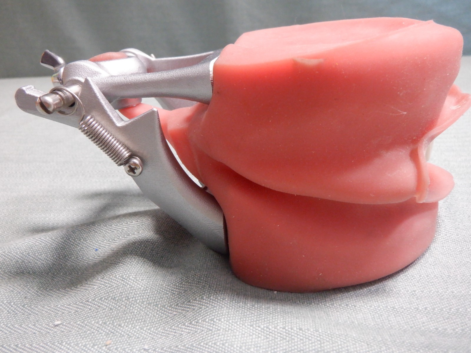 Nissin Typodont Dental Teeth