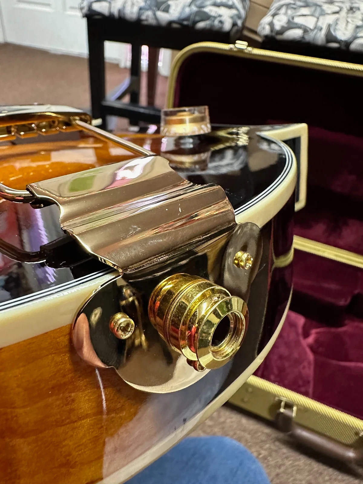 Gold Tone F-6+ F-style 6 String Electric Mandolin Guitar Mando-Guitar New W/Case