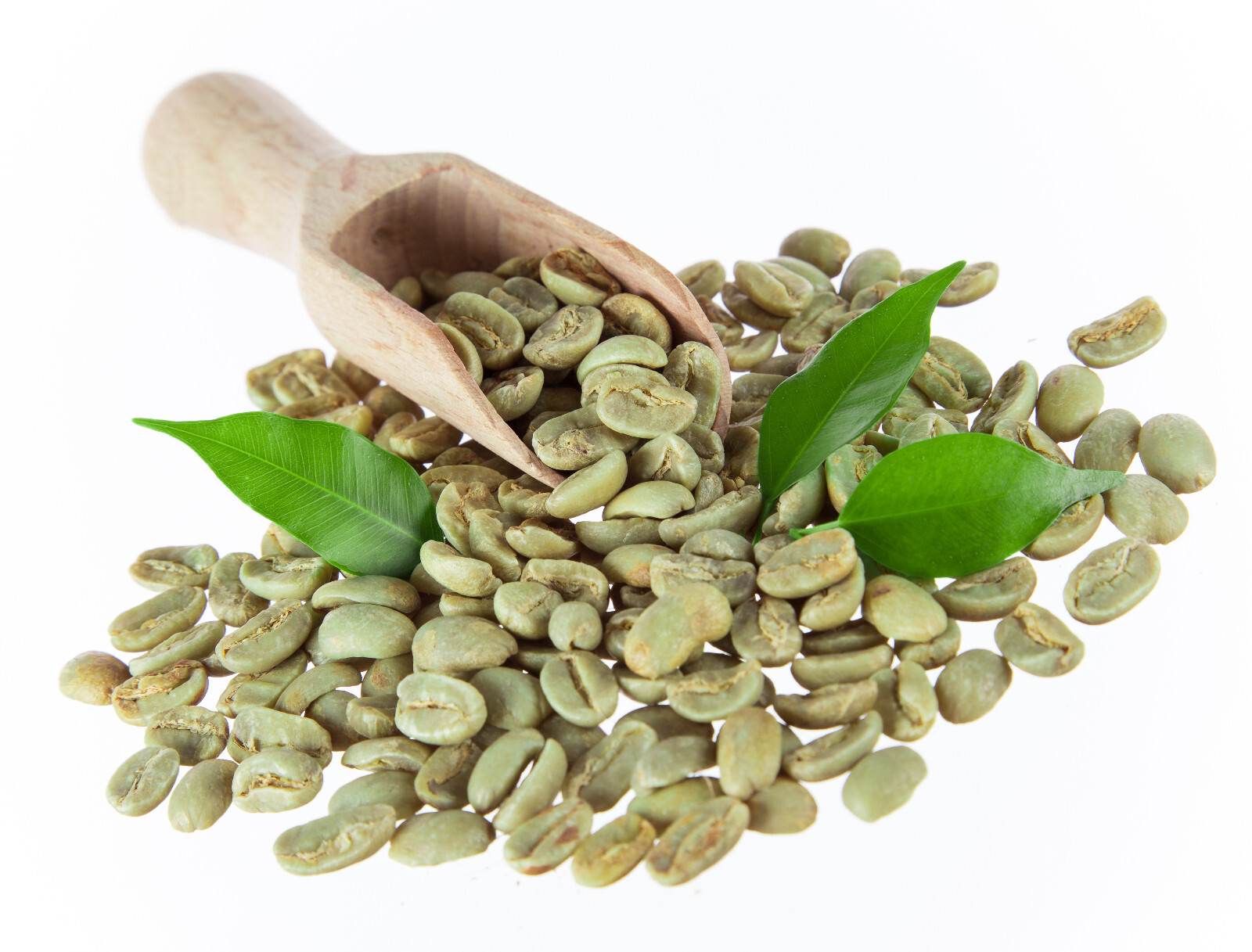 5 POUNDS green coffee beans – your choice of beans – MANY to choose from