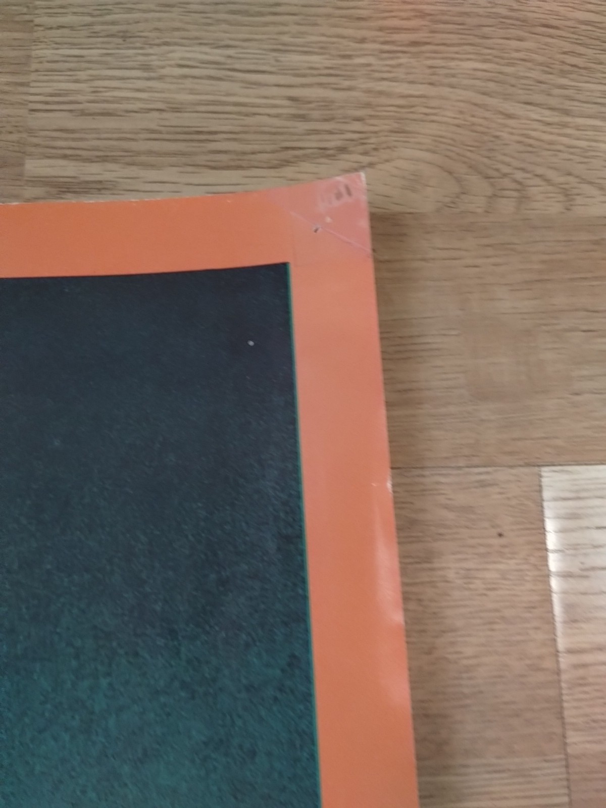 RARE 1973 Fish Yessongs 4 Roger Dean Cover Art Big-O Poster England Psychedelic