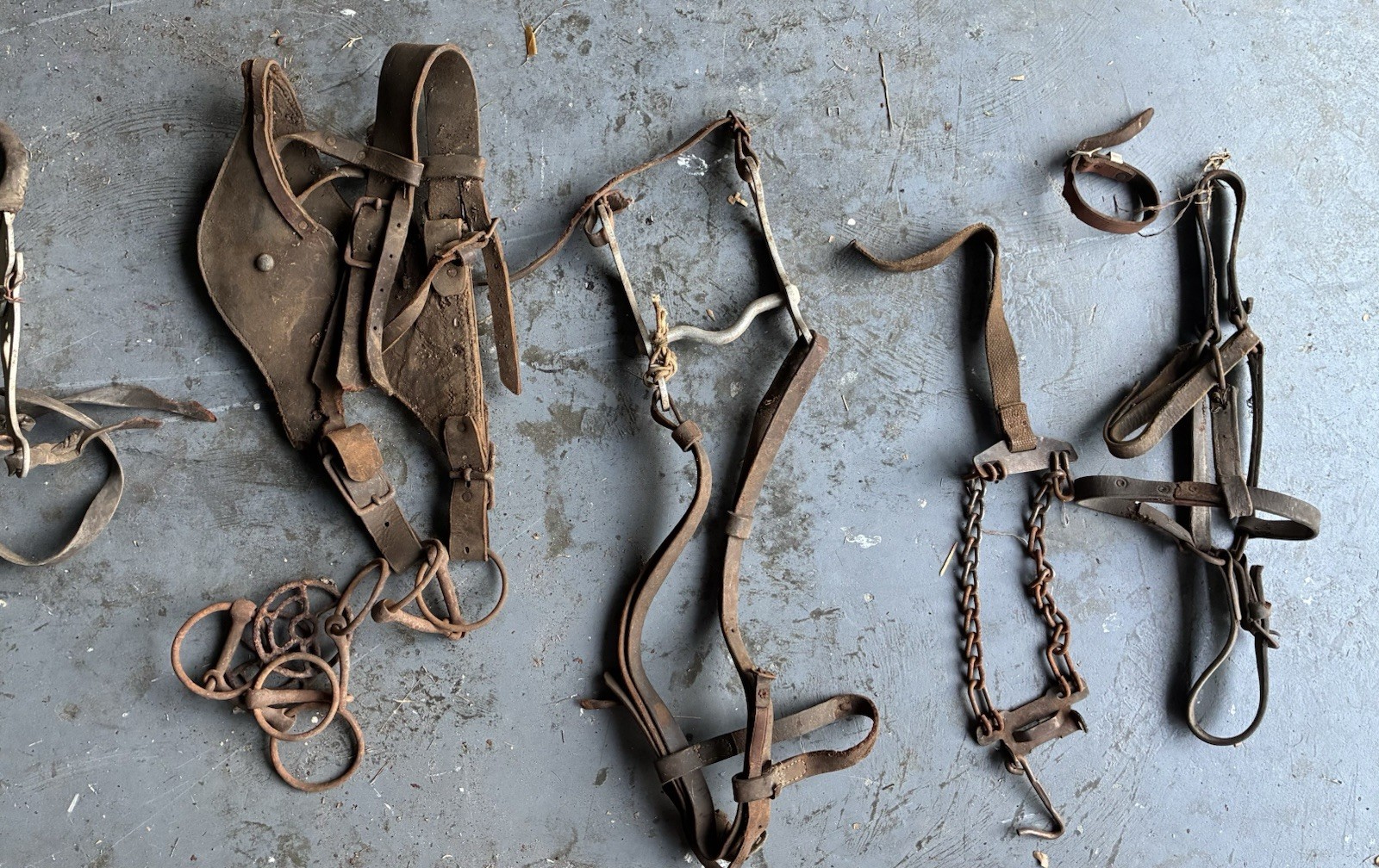 Vintage Horse Tack Blinders Bit Silester Hackamore