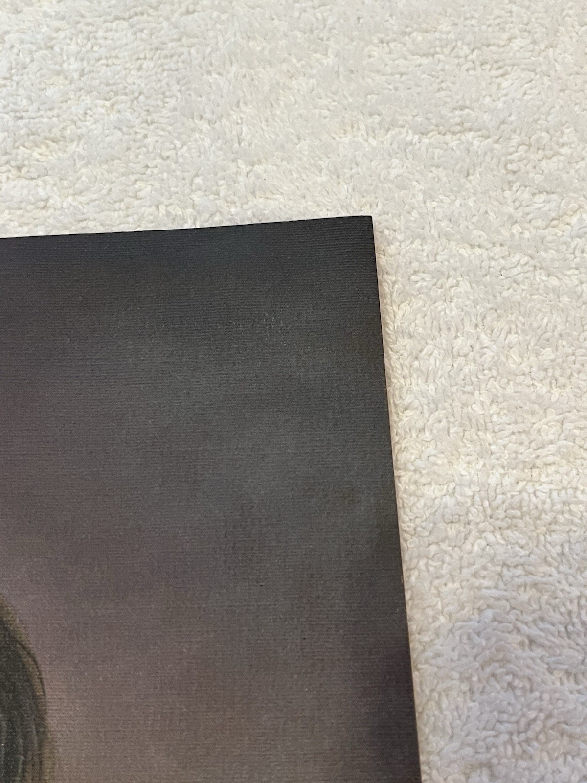 ELVIS PRESLEY 17 x 11 Poster Print by Loxi Sibley 1976 Concert Boxcar Excellent