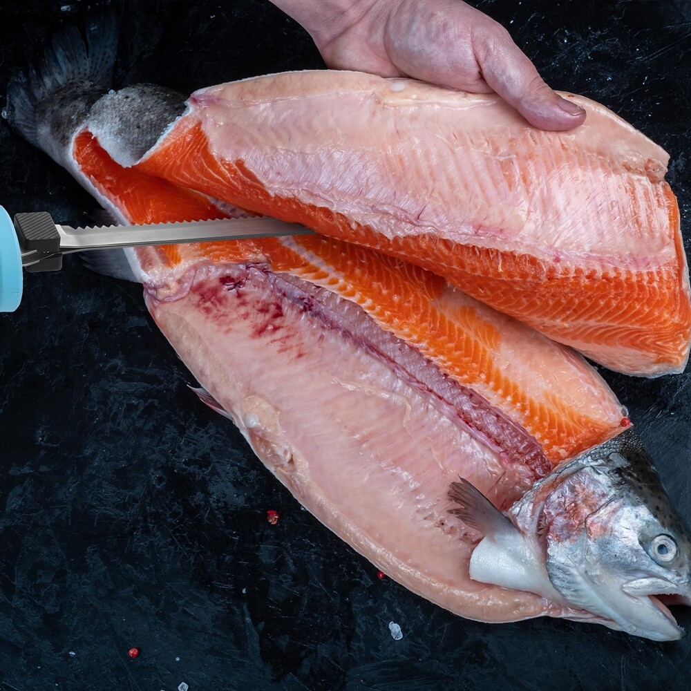 FLISSA Cordless Electric Fillet Knife for Fish with 8"&10"Stainless Steel Blades