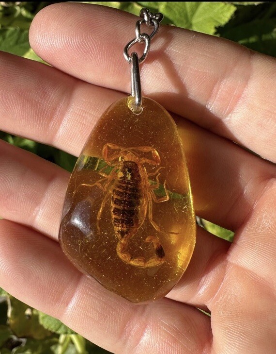 Scorpion Amber Keychain, Scorpion Keychain, Unique Keychain, Arizona Gift