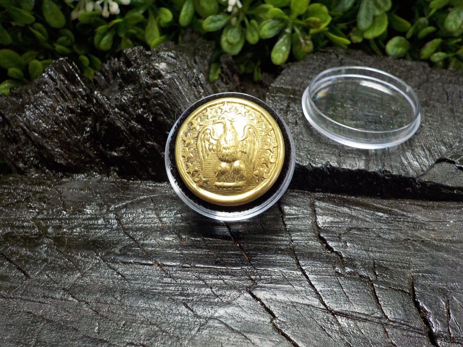 24k Gold Plated Confederate Staff Officers Coat Button with Free Button Case