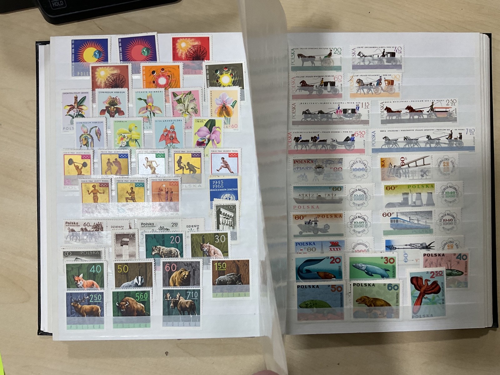 Poland stamps. Mostly mint. stock book. G/40