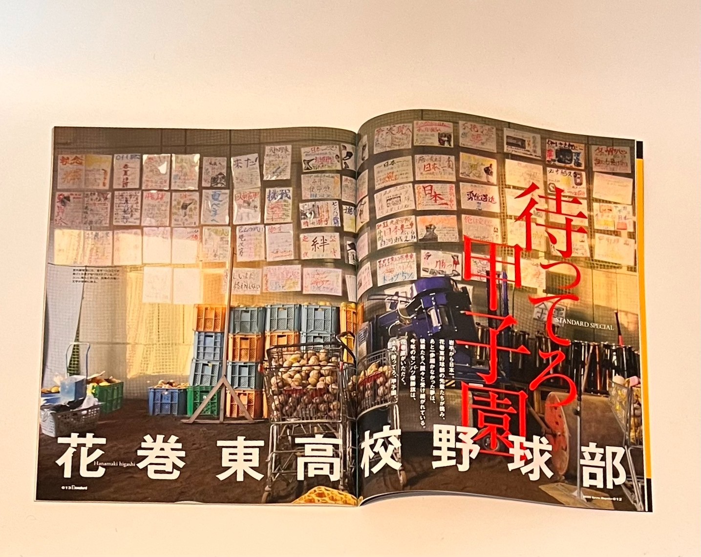 1 Day Ship Shohei Ohtani 2012 2013 2017 STANDARD Magazines High School Baseball