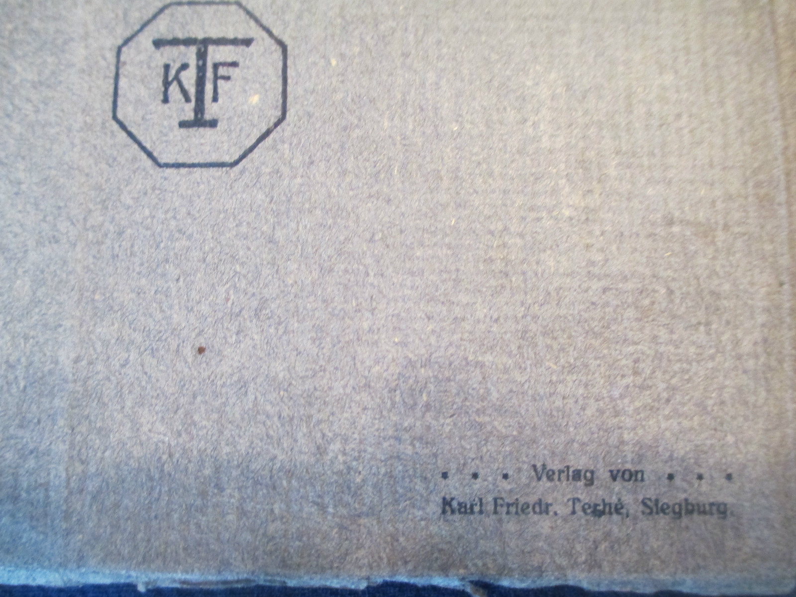 1919 "OCCUPIED GERMANY" ART PHOTOGRAPH SCENIC BOOK WORLD WAR I SOUVENIR WWI