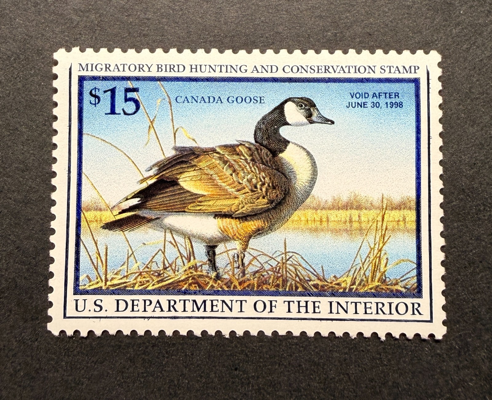 WTDstamps - #RW64 1997 - US Federal Duck Stamp - Mint OG NH