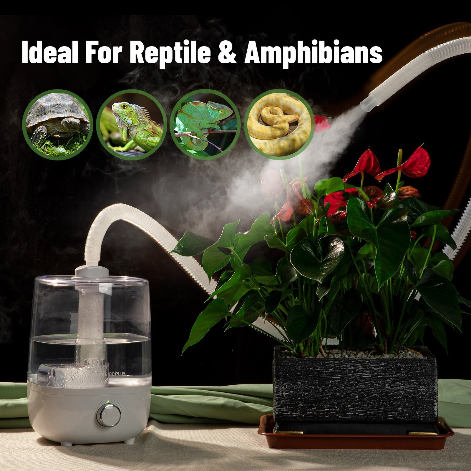 Reptile Humidifiers Fogger Mist 4L Large Tank Amphibians Terrarium Extended Hose