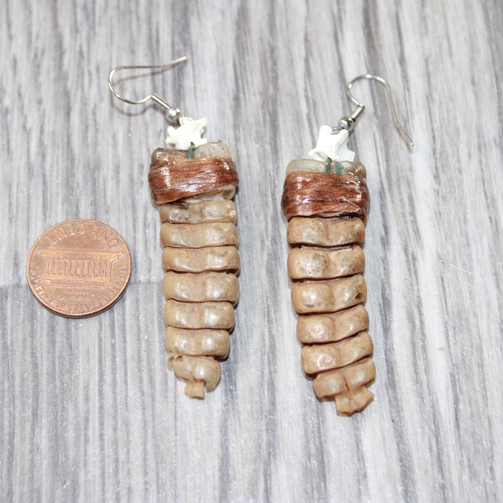 Large Rattlesnake Rattle Earrings #4963 Mountain Man Earrings