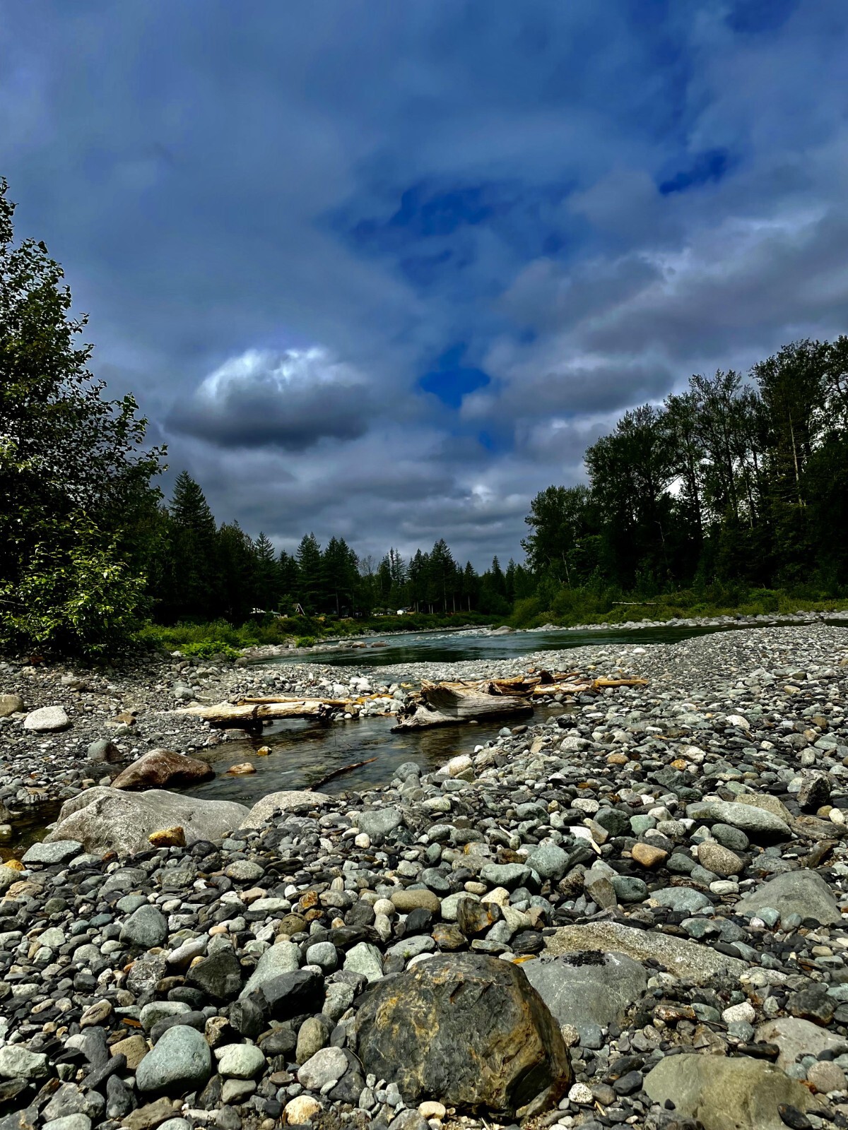 Presidential 10 Gram Gold Nugget Hunt Rich Unsearched Paydirt With Added Gold