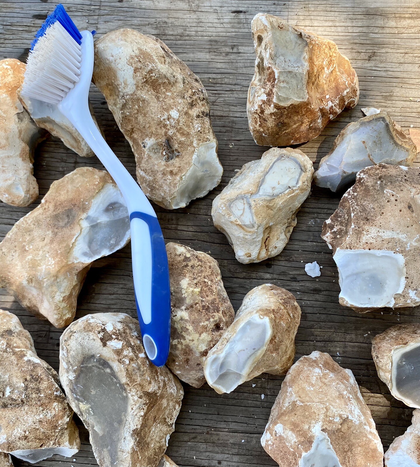 8+ POUNDS Central Texas “Edwards Plateau”Chert/Flint Rocks for Knapping/Lapidary