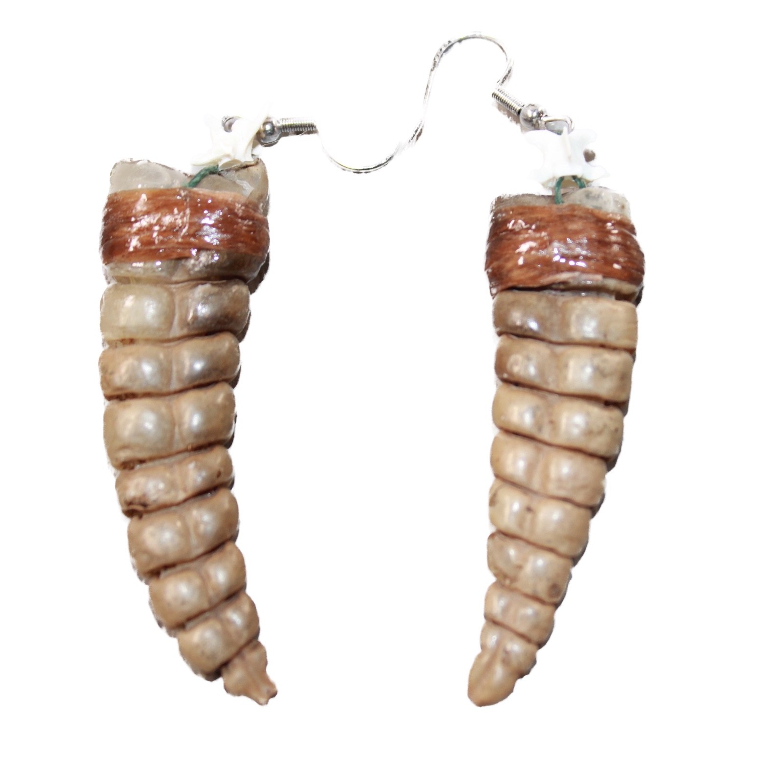 Very Large Rattlesnake Rattle Earrings #6163 Mountain Man Earrings