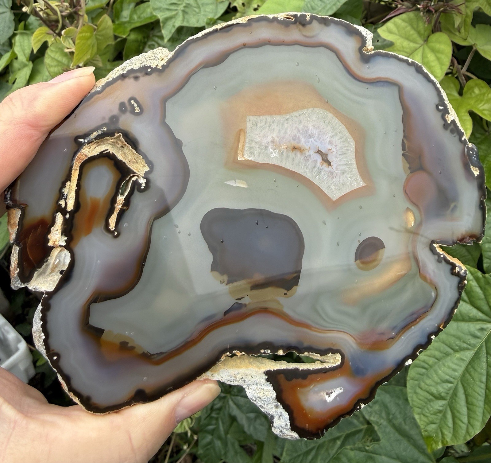 Agate Slab. 6 11/16” x 5 5/8” c 1/4”, 10.3 ounces.  Polished front and back.