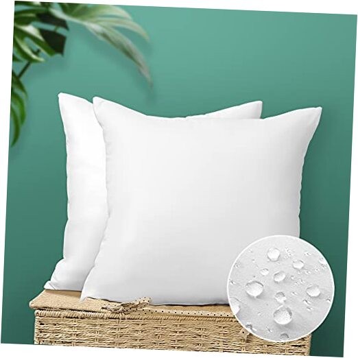 Outdoor Throw Pillow Inserts - Pack of 2 Water 20x20 Inch (Pack of 2) 2 Pack