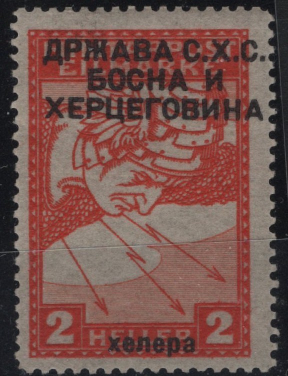 SHS YUGOSLAVIA BOSNIA  1918-1919