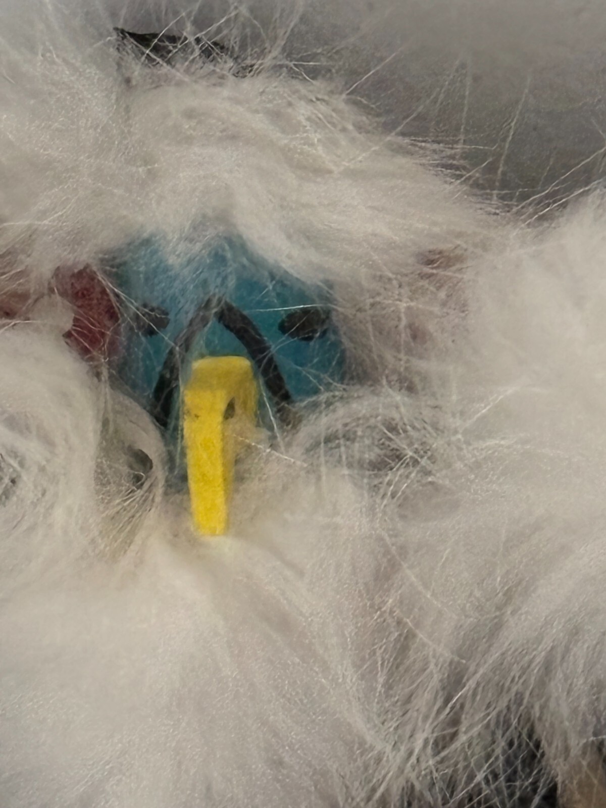 Kachina Signed Eagle Dancer Ornament Vntg Native American 4.5x6" FREE SHIPPING