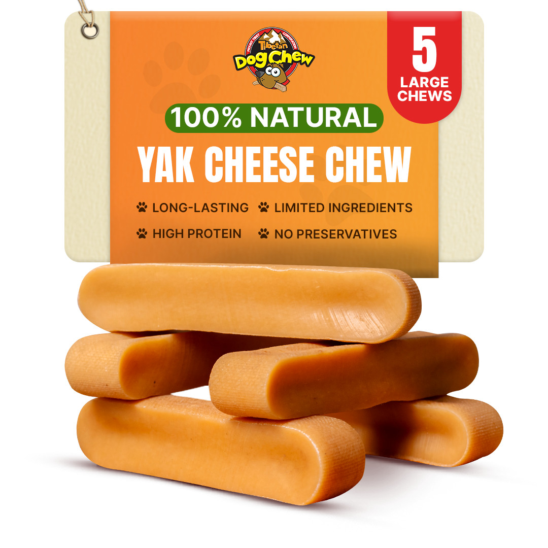 Himalayan Yak Chews for Large dogs - 5 pc, Hard Cheese Chew Sticks for Big dogs